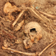 Illustration for article titled A pristine ‘temple of the dead’ has been uncovered in Peru